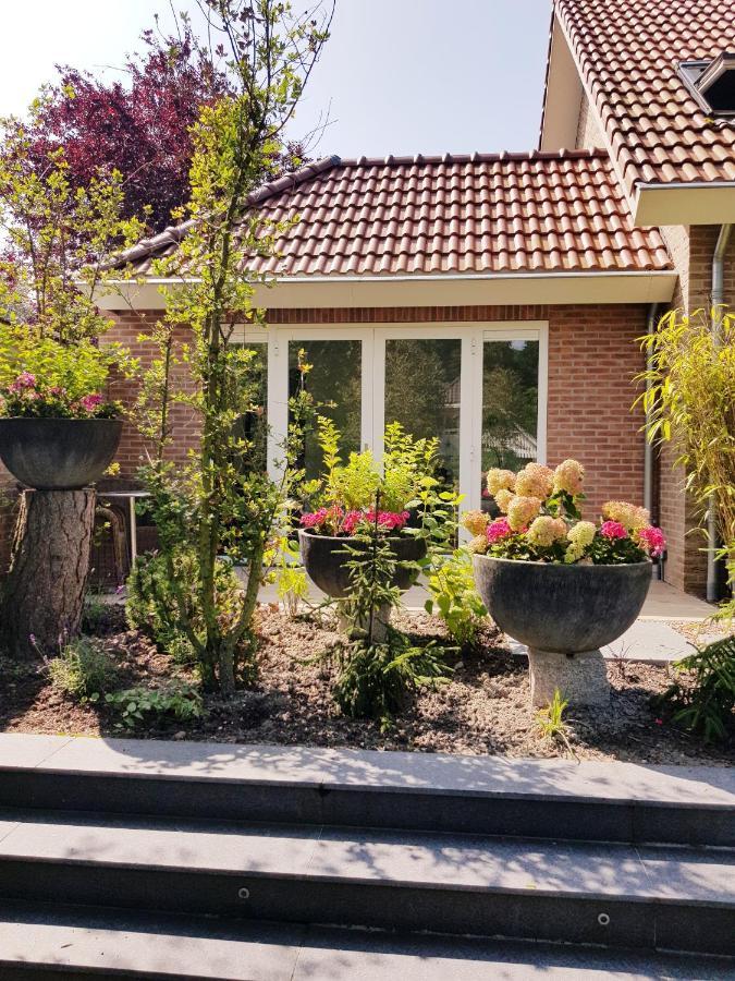 Junior Suite mit Terrasse