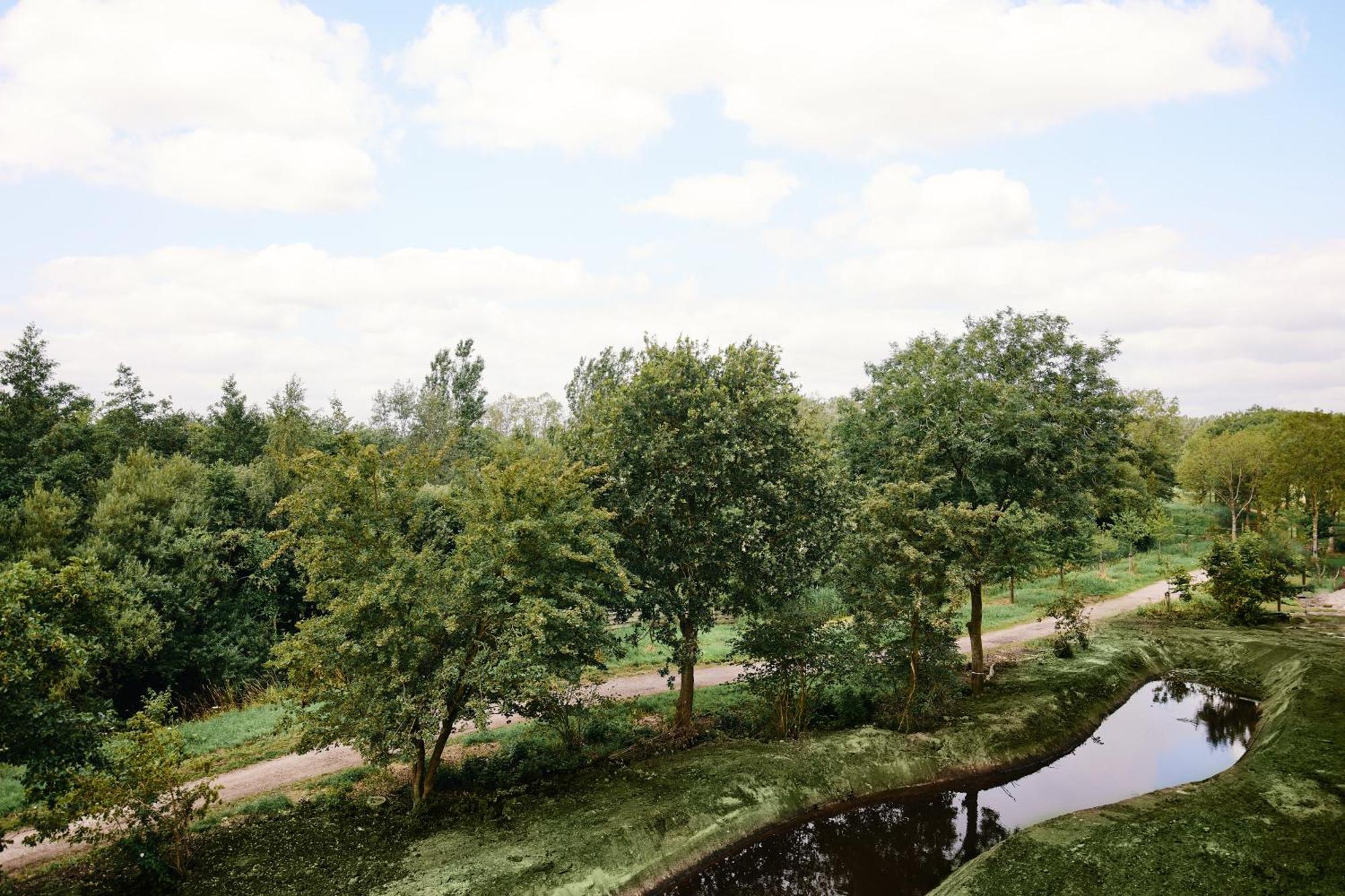 Deluxe Double Room with Garden View