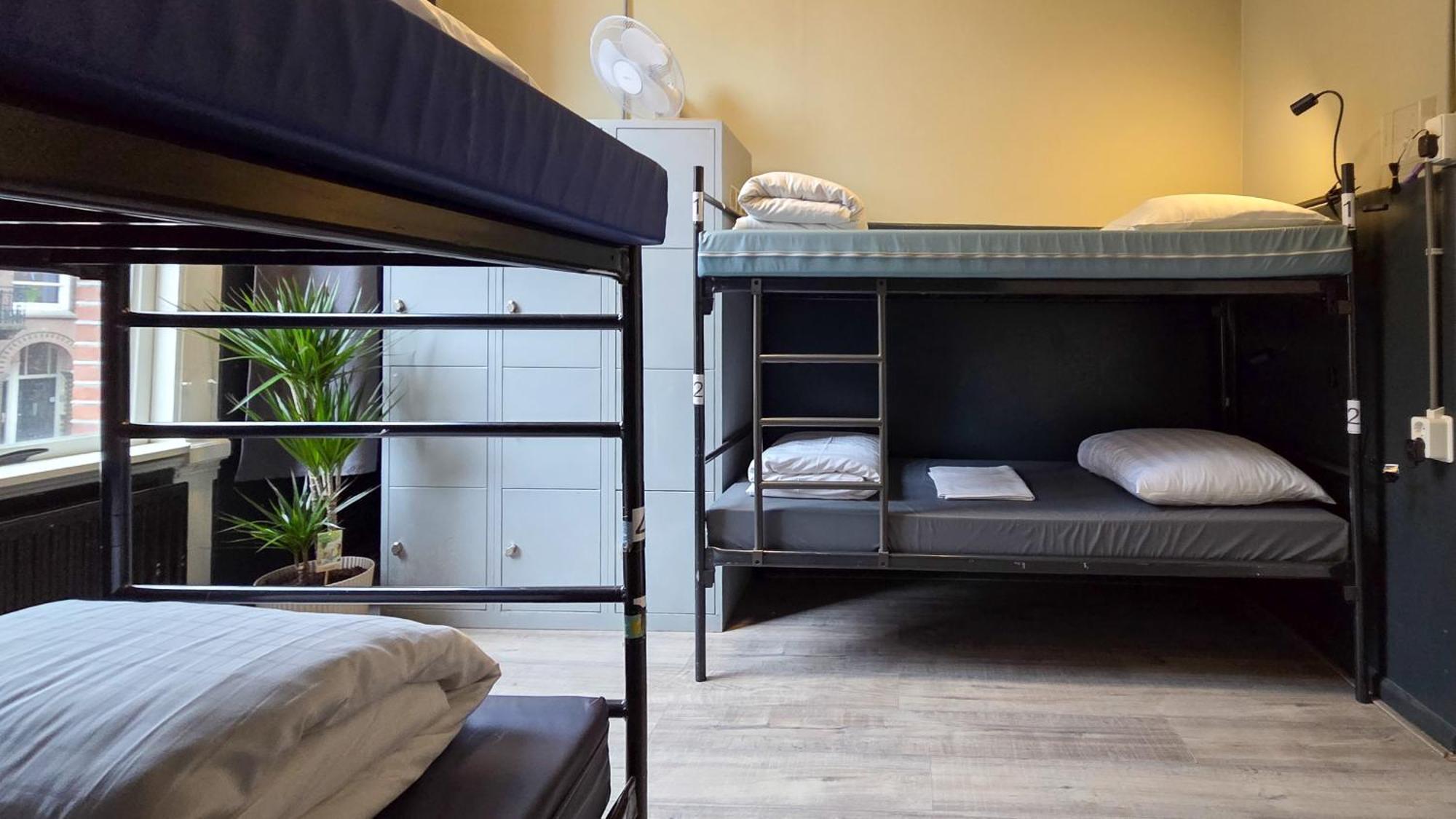 4-Bed Mixed Dormitory Room,1746911702:JPEG