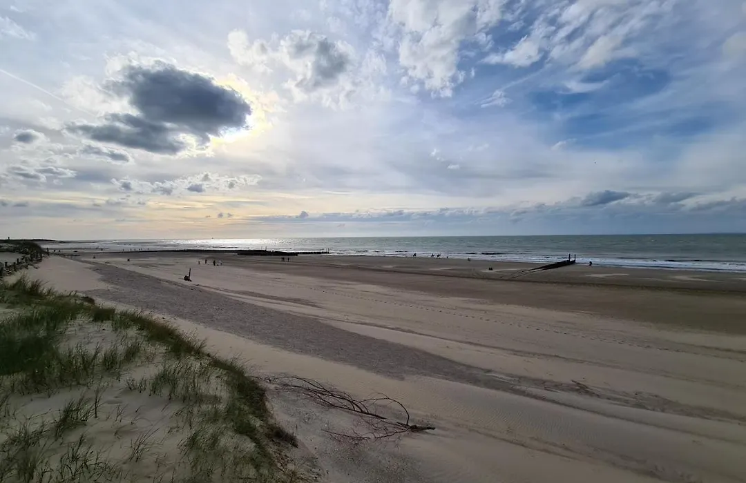 Kustverhuur, Park Schoneveld, Zeester 64-1