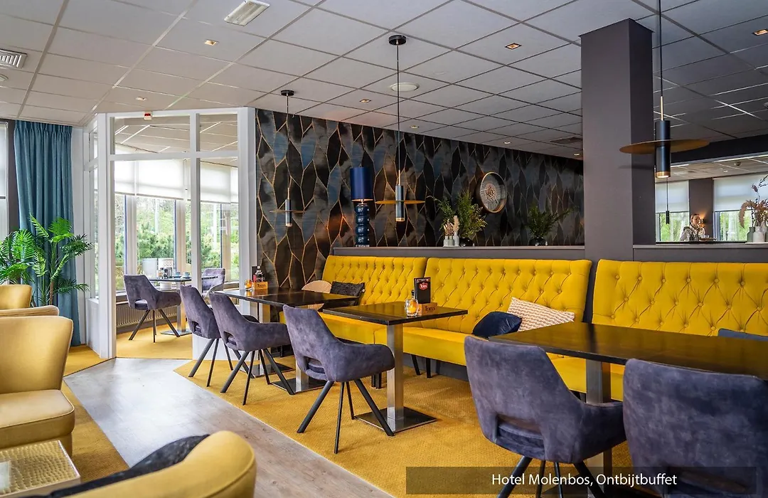 Hotel Molenbos Texel-1