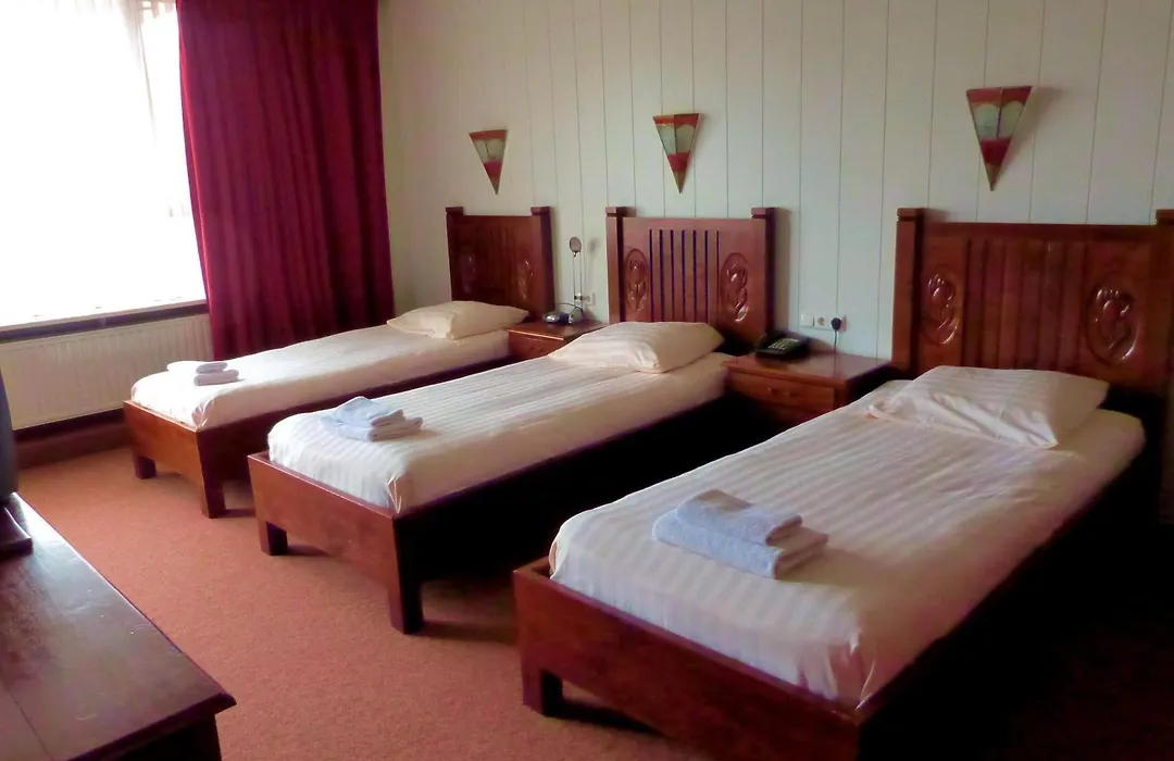 Hotel Wienerhof-1