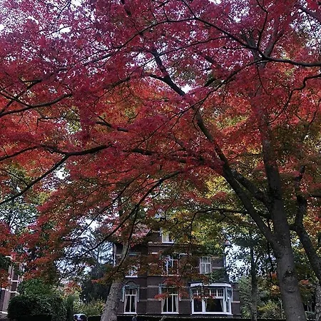 B&B Villa Anna, Venlo-2