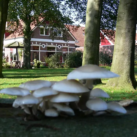 Hotel Nieuw Beusink-3