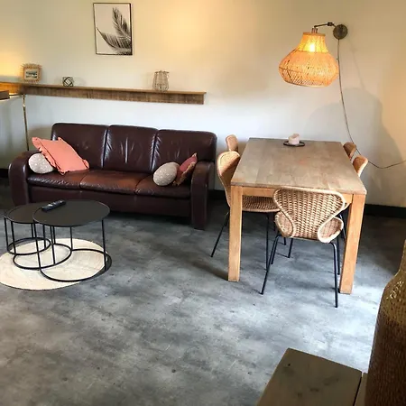 Have a nice stay! - Holiday Home de Witte Raaf with garden&hottub-3