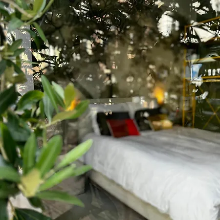 Daen'S Greenhouse-2