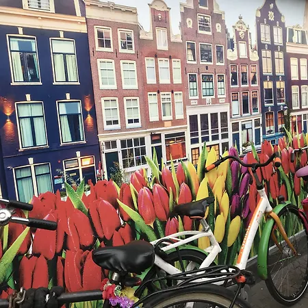 Amsterdam 4 Holiday Guestrooms-2