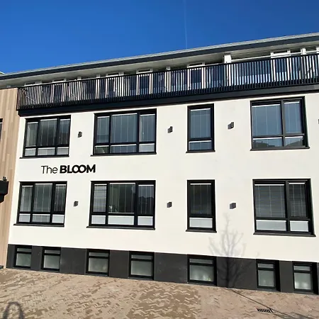 The Bloom-3