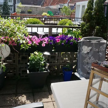 Amsterdam Roof Terrace B&B-3