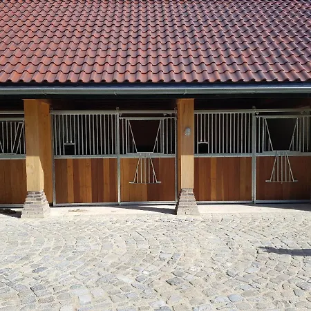 De Cromvoirtse Bed&Breakfast-3