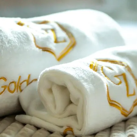 Golden Zaan Hotel, Zaandam-Amsterdam-3