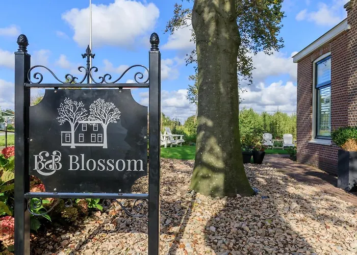 B&B Blossom