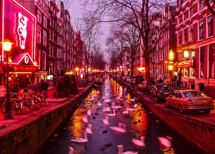 Amsterdam Red Light Bed & Breakfast