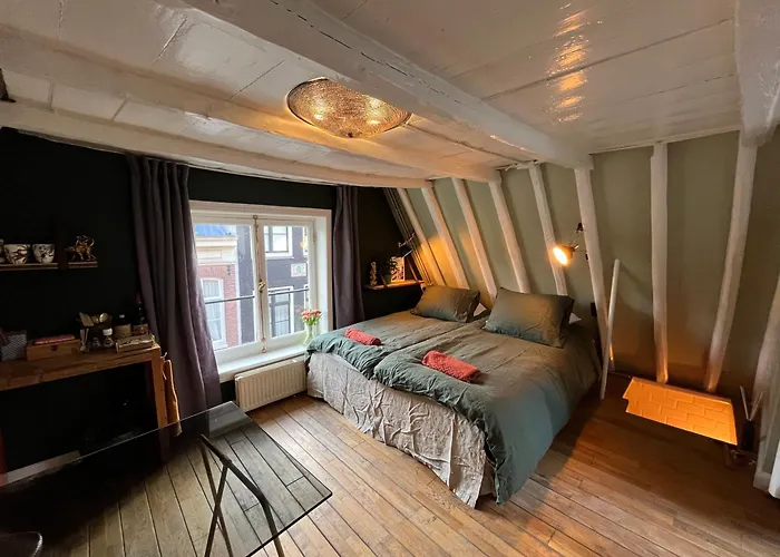 Attic Monkeys Lodge Amsterdam